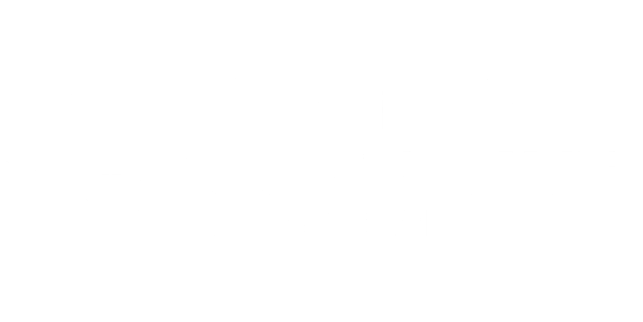 Custom Computer Logo